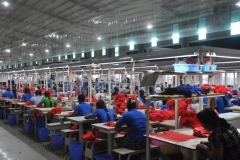 sewing-line-Large